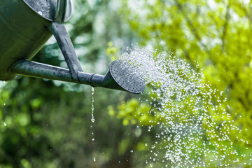 Spring summer garden watering. Water saving ecology gardening background - obrazy, fototapety, plakaty