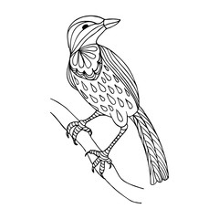 Bird on the tree. Hand drawn coloring page. Stock vector illustration.
