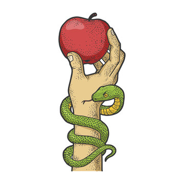 Apple in hand with snake color sketch engraving vector illustration. T-shirt apparel print design. Scratch board imitation. Black and white hand drawn image.