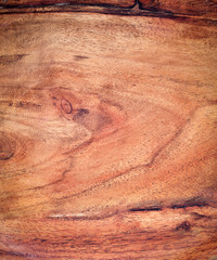 The texture of the tree with a clear pattern, vignette.