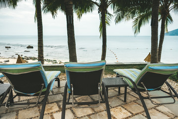 Empty sunbeds on the beach by the sea under palm trees. Holidays in the tropics.