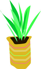 Houseplant in a pot isolate. Green flat potted flower. Gardening symbol.