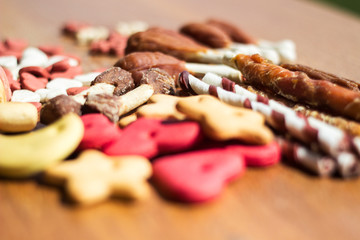 Dog tasty colored biscuits, snacks for dogs 