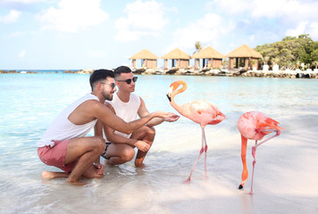 Schwules Paar am Meer mit Flamingos
Gay Couple feeding flamingo at the beach
