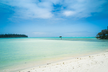 Fototapeta na wymiar tropical beach with palm trees and araucaria. isle of pines New Caledonia. turquoise water