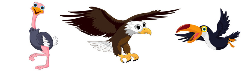 Bird cartoon collection. Ostrich eagle and toucan. Vector illustration.