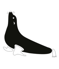 Foca. León marino. Morsa. © isabelgalán