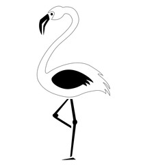 Pájaro. Ave. Flamenco. Cigüeña. Zancuda.