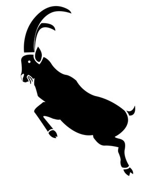 Cabra. Caprino. Cabra montesa.