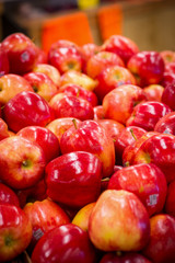 Red MacIntosh Apples
