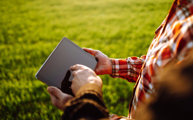 Farmers with tablet in the field. Farmers using touch pad for check wheat quality in the field. The...