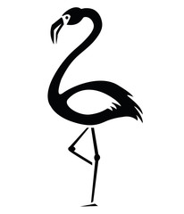 Pájaro. Ave. Flamenco. Cigüeña. Zancuda.