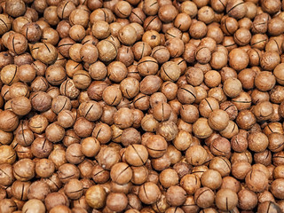 Macadamia nuts on a store counter. Nuts and Dried Fruits Store