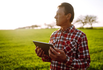 Farmer working with  digital tablet in field at sunset. Checking wheat field. Agriculture concept.