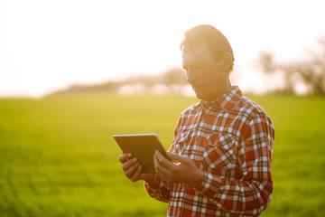 Farmer working with  digital tablet in field at sunset. Checking wheat field. Agriculture concept.