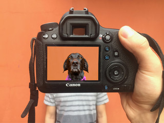 Dog