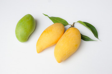Golden Mango And Green Mango