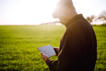 Farmer owner using touchpad for check wheat field at sunset. Farmer working with digital tablet. Smart farm. Agriculture concept.