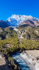 An idyllic view on Manang valley from Humde, Nepal. High Himalayan ranges around. There is dense forest on the side of the pathway and a turquoise torrent. Snow capped peaks of Annapurna Chain.