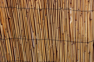 Tropical fence made of reeds