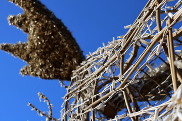 Light bulbs from a garland against the sky. Small light bulbs. Holiday light bulbs. Sky and holiday lights