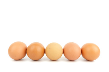 eggs isolated on white background