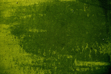 Gently green background. Yellow green background