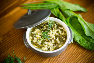 fresh spring organic soup with green sorrel and egg in a plate