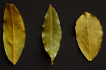 Three dried bay leaves on black background isolated