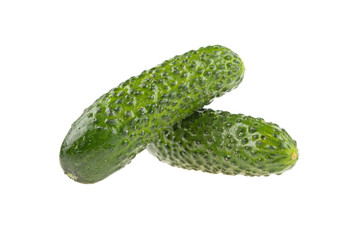 organic cucumber on a white background, isolated