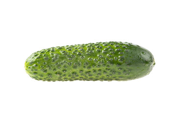 organic cucumber on a white background, isolated