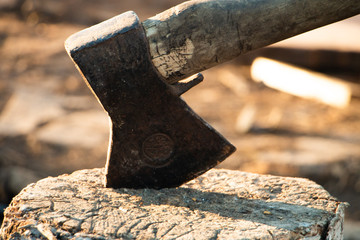 Axe and wooden tree logs ready for chopping