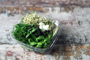 Selective focus. Macro. Microgreen set. Organic food. Vitamins and trace elements food.