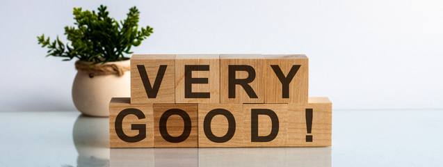 The text is very good on wood blocks on a blue surface background and a flower in a pot