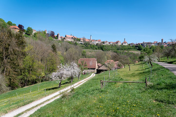Naklejka premium Taubertal bei Rothenburg / Tauber valley at Rothenburg