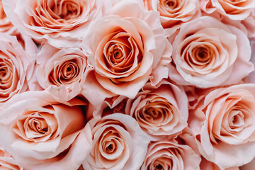 Close-up top view over a bouquet of light pink roses.