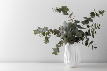 Bouquet of eucalyptus in the vase