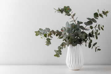 Bouquet of eucalyptus in the vase © Lana_M