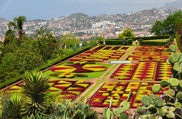 Funchal Botanical Gardens on July 15 2015 in Madeira island, Portugal, Europe