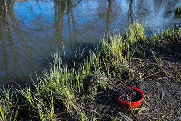Red jar with beautiful fishing worms