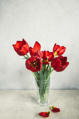 A bouquet of red tulips