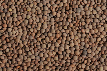Close up of a bunch of brown lentils as texture background 