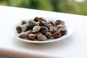 Migdał