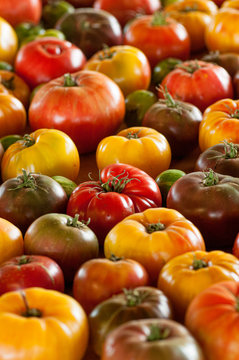 A Collection Of Colorful Heirloom Tomatoes