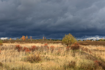 Autumn rural landscape as a background.
