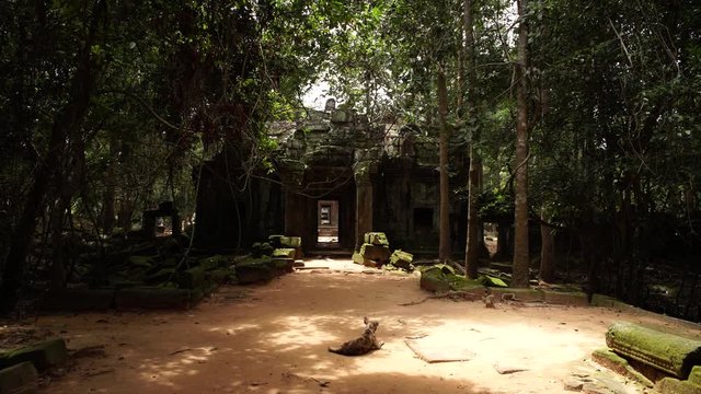 Perro tomando sol en la entrada de un templo de Angkor Wat. Hombre pasa caminando por al lado