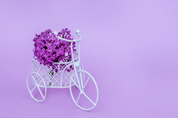 Fototapeta na wymiar A small bicycle with a bouquet of flowers. Lilac branch in a vintage bike. Delivery in color. Lilac branches. Pink and purple flowers on a lilac background. Place for inscription