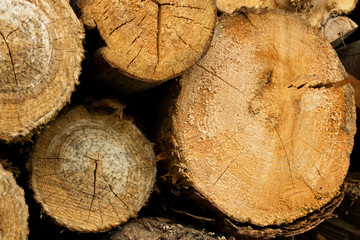 Natural wooden background - closeup of chopped firewood. Firewood stacked and prepared for winter Pile of wood logs