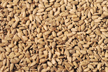 Sunflower seeds close up background