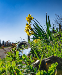 Lensball Summer 